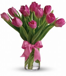 Precious Pink Tulips from Westbury Floral Designs in Westbury, NY